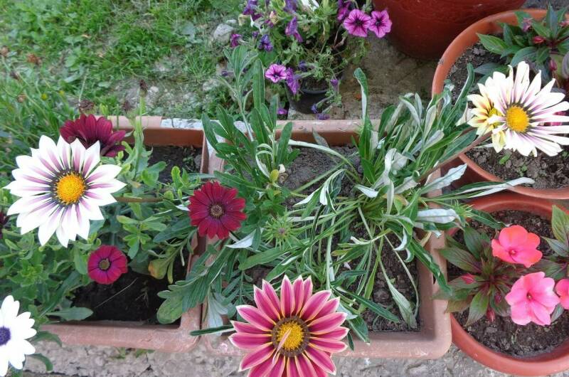 Гостевой дом «Жемчужина у Моря»