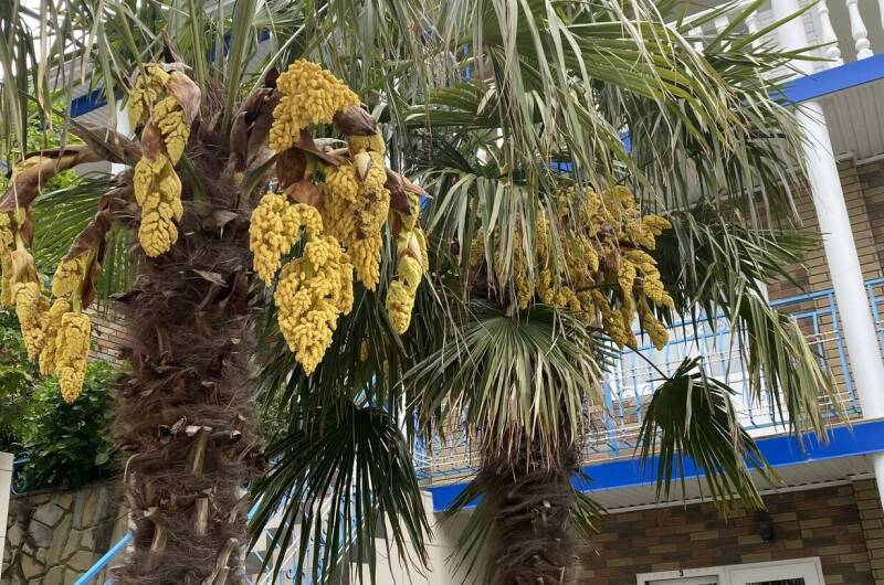 Гостевой дом «Утес»