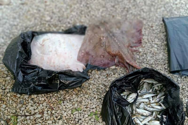 Гостевой дом «Лилия»