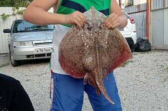 Гостевой дом «Лилия»