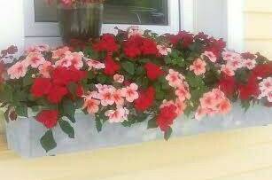 Гостевой дом «Лилия»