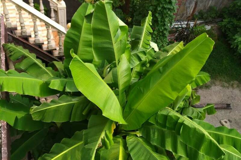 Гостевой дом «Велес»