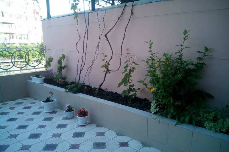 Дом под ключ «У Палыча»