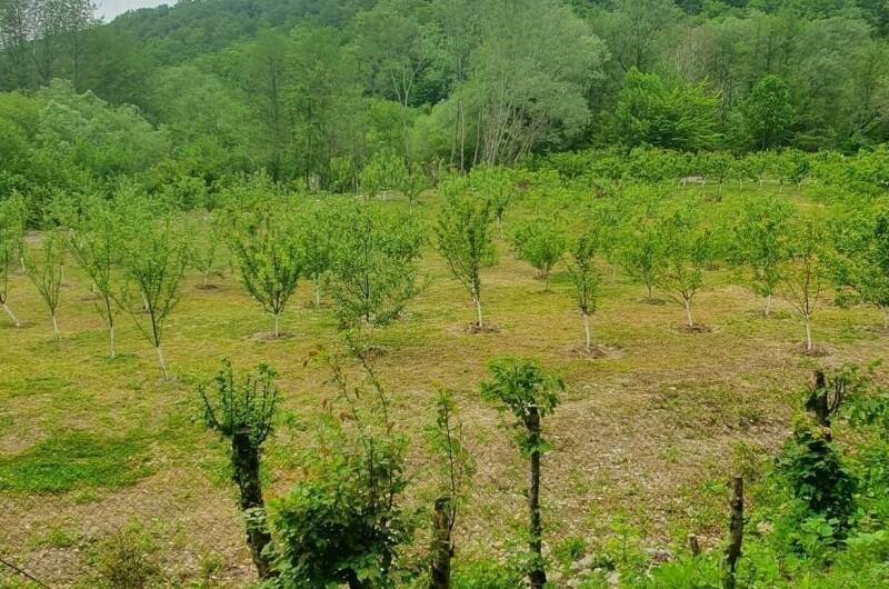 Коттедж «Эко деревня»