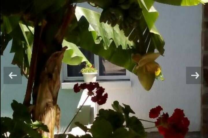 Гостевой дом «Релакс»