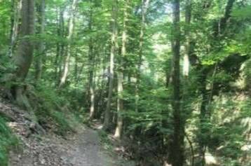 Гостевой дом «Релакс»