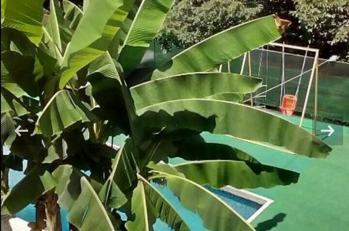 Гостевой дом «Релакс»