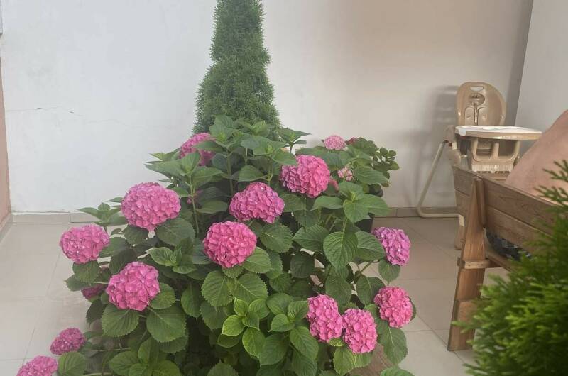 Отель «LeoDimas boutique»