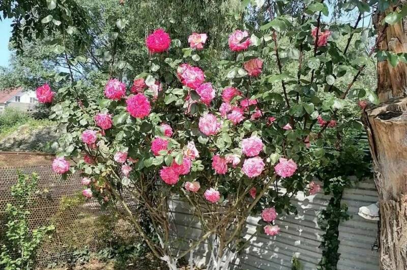 Гостевой дом «Галина»