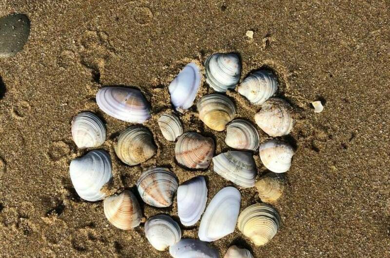 Гостевой дом «У Наталии»