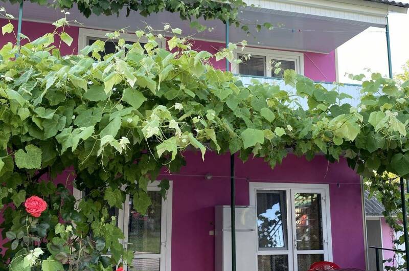 Гостевой дом «У Наталии»