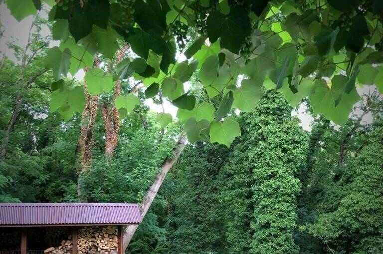 Гостевой дом «Spring house»