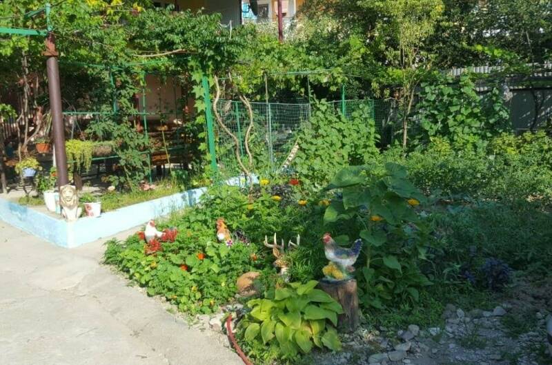 Гостевой дом «Жасмин»