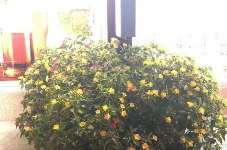 Отель «Residence Hotel&amp;Hostel»