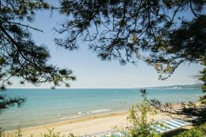 Изображение Дом под ключ в Персиковом саду #3