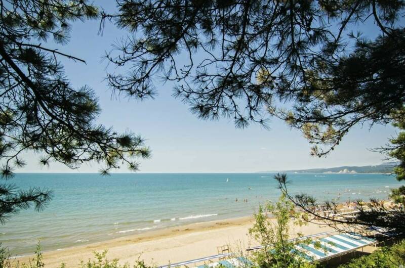 Дом под ключ в Персиковом саду