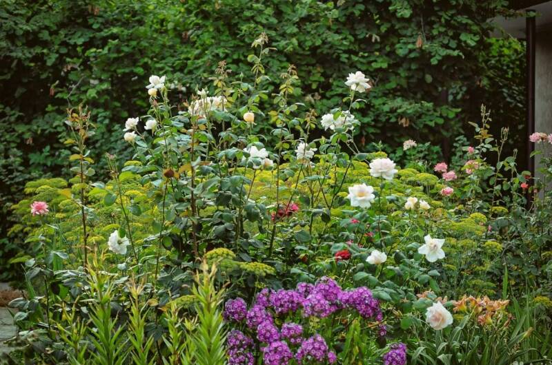 Дом под ключ в Персиковом саду