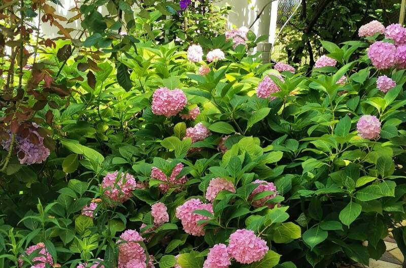 Частный дом «У Ольги»