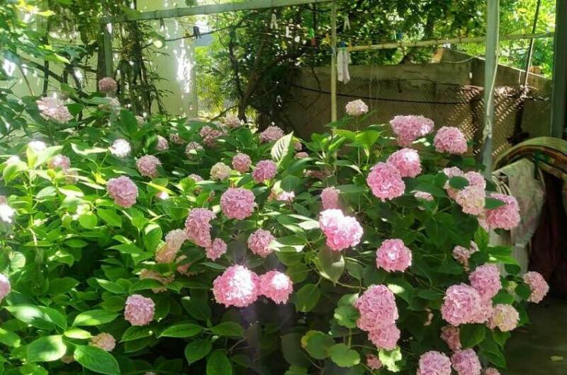 Частный дом «У Ольги»