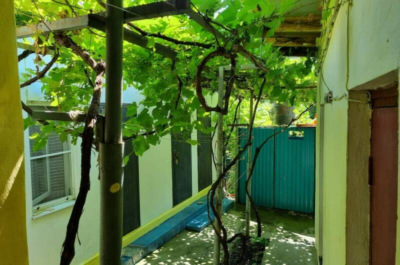 Частный дом «У Ольги»