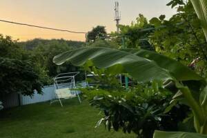 Изображение Пляхо #8