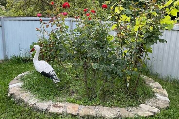 Частный сектор «Людмила»