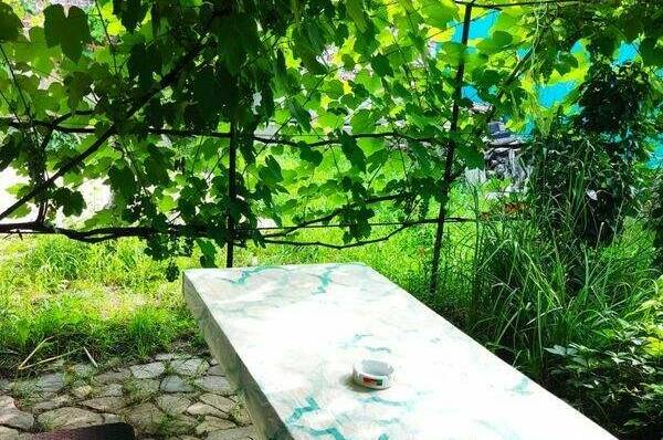 Гостевой дом «Дворик для друзей»