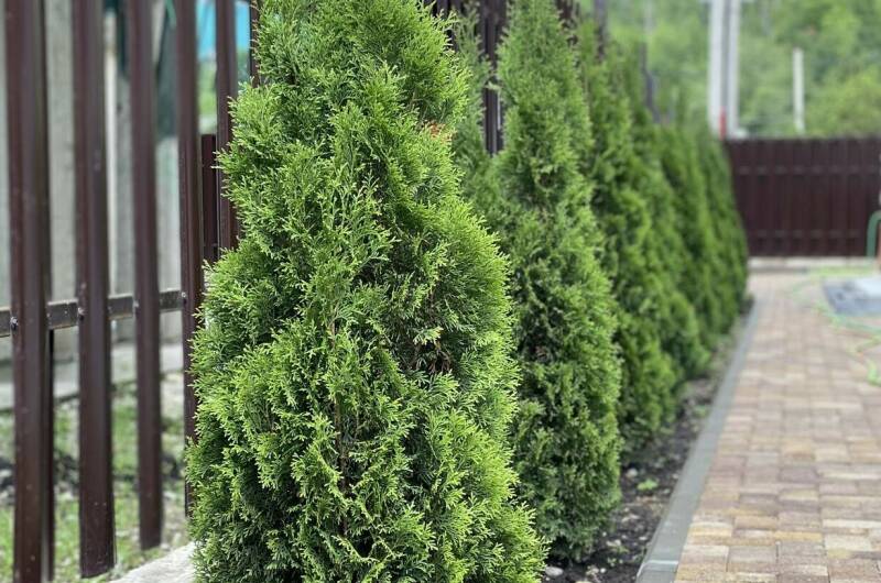 Гостиница «Val&#039;kont Hotel»