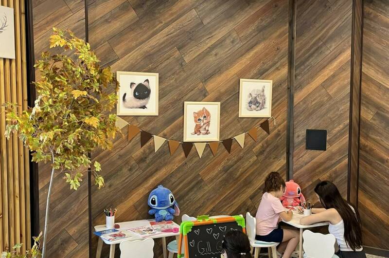 Гостиница «Gill Grad»