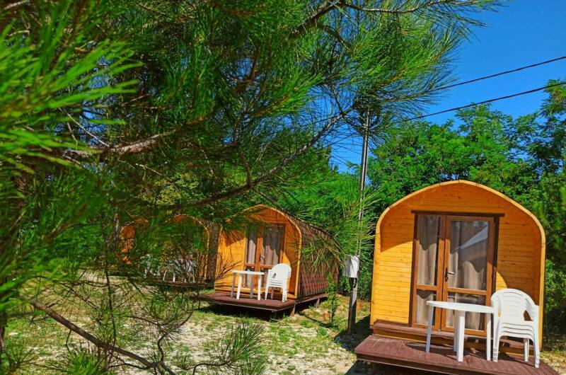 База «Ольгинка»