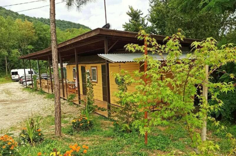 База «Ольгинка»