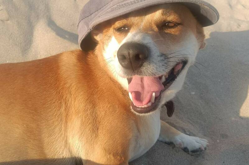 Гостевой дом «Яблонька»