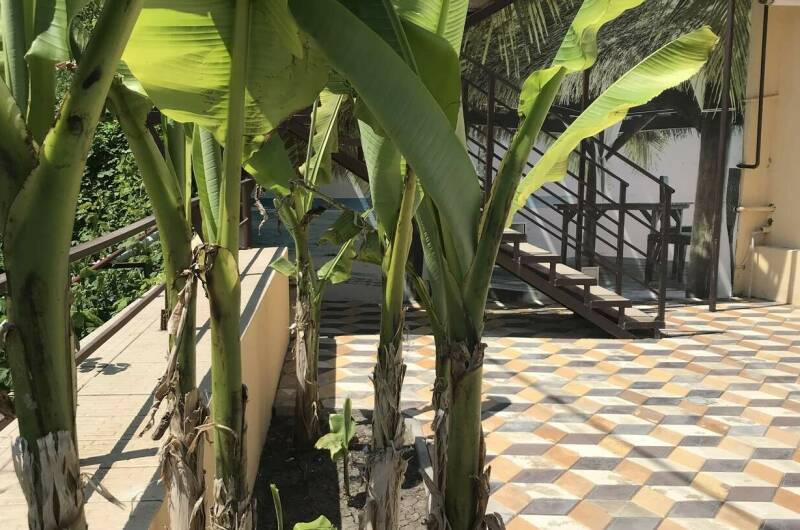 Гостевой дом «AlexHoume»