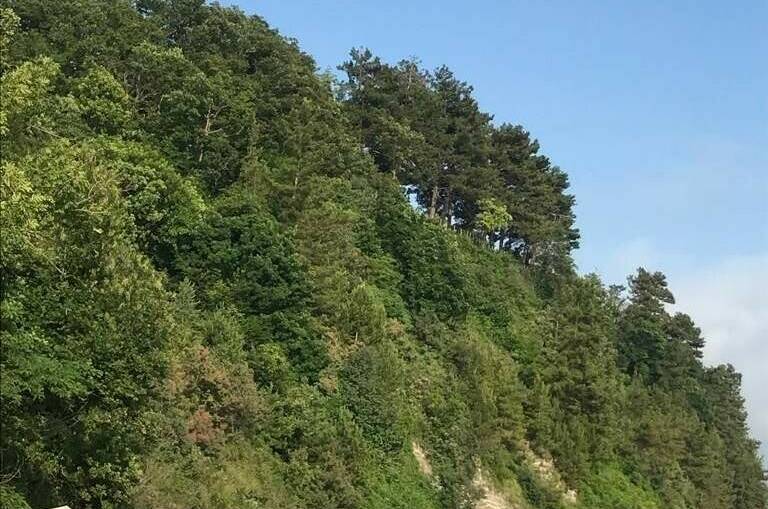 Гостевой дом «AlexHoume»