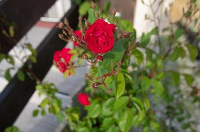 Гостевой домик у моря