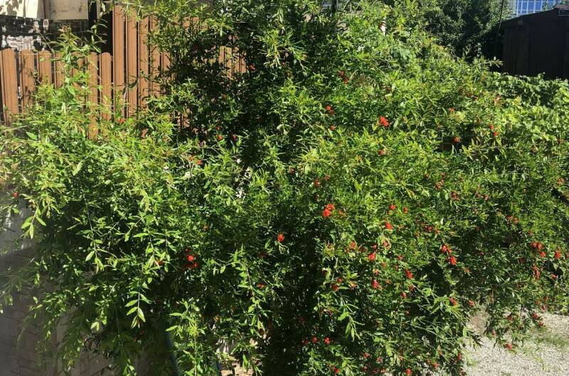 Гостевой дом «Триумф»