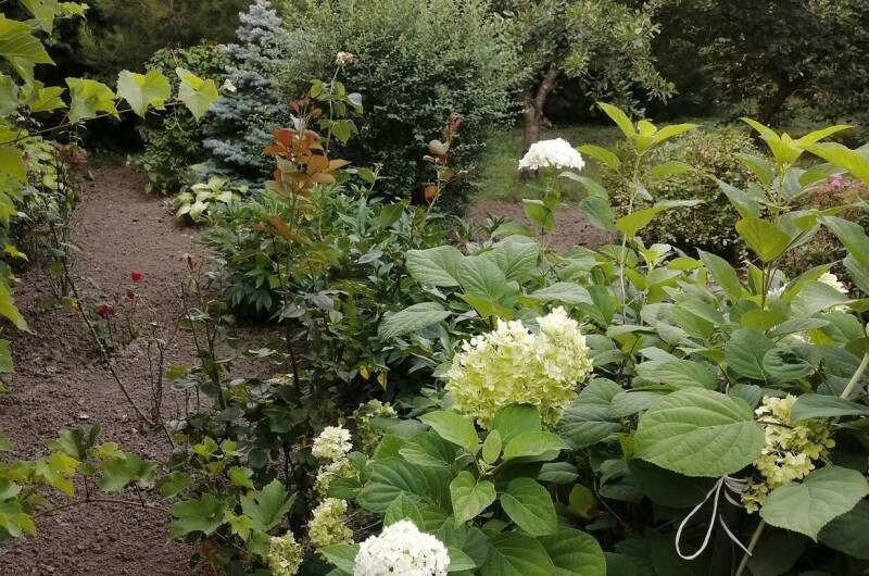 Коттедж под ключ 200 кв. до 12 человек