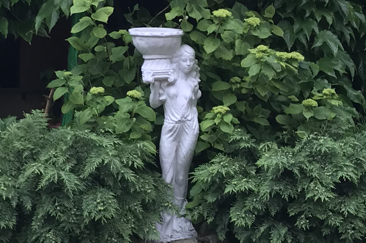 Гостевой дом «Дельфин»