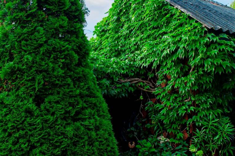 Гостевой дом «Дельфин»