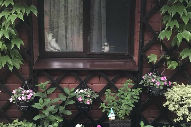 Гостевой дом «Дельфин»