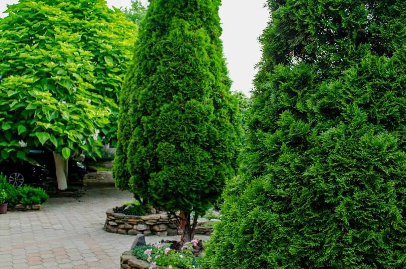 Гостевой дом «Дельфин»