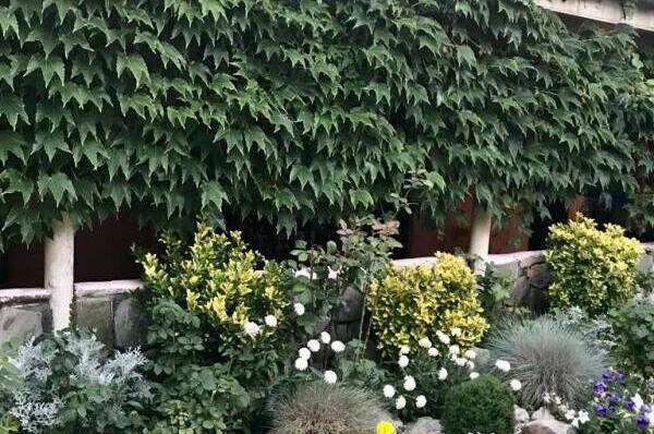 Гостевой дом «Дельфин»