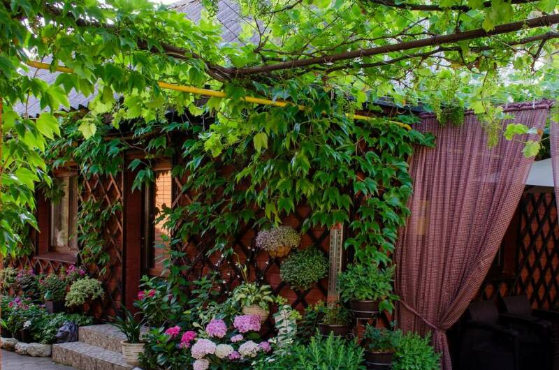 Гостевой дом «Дельфин»