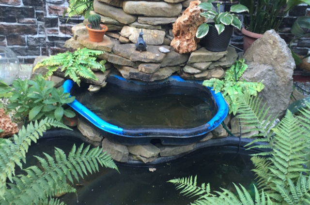 Гостевой дом «Арма»