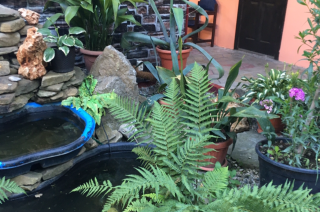 Гостевой дом «Арма»