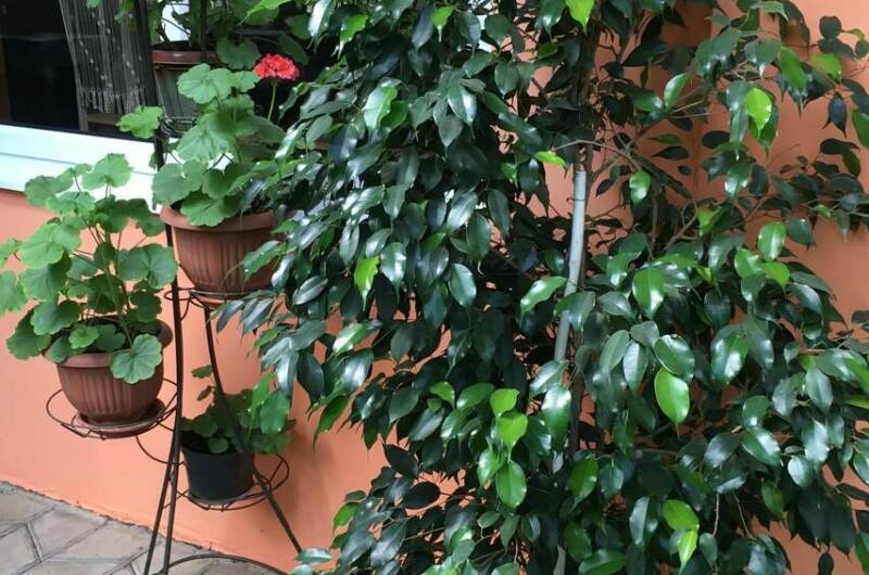 Гостевой дом «Арма»