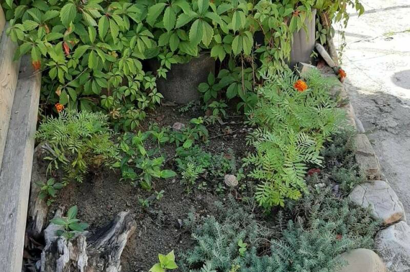 Гостевой дом «Причал»