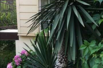 Комната в частном доме