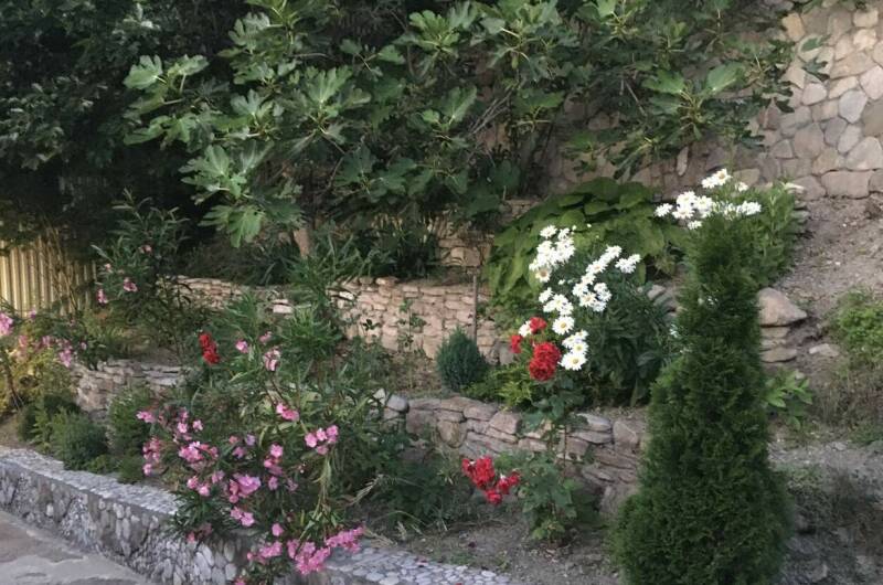 Гостевой дом «Александра»