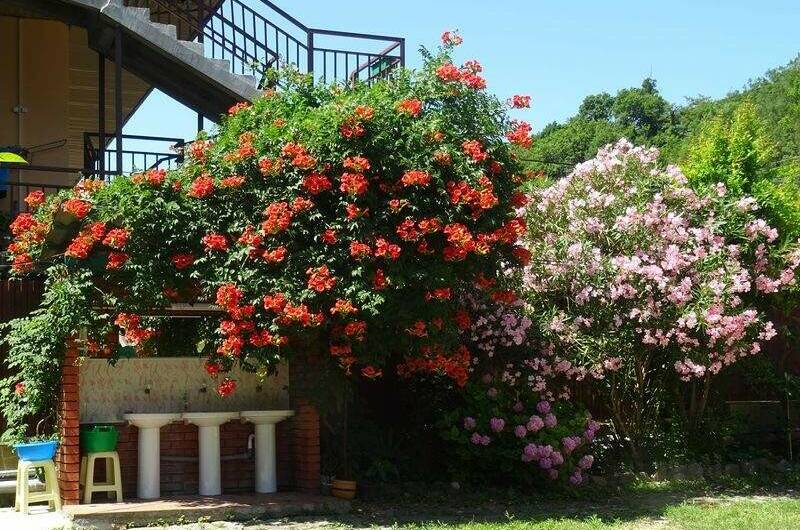 Гостевой дом «У Сергея»